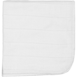 copy of  2